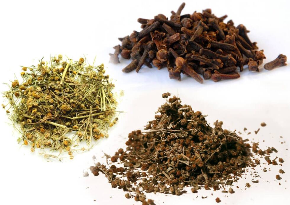 Αψιθιά, τάνσυ και γαρίφαλο για την καταπολέμηση των παρασίτων